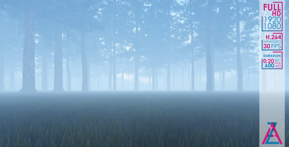Foggy Forest