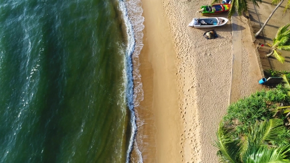 Aerial View of Sandy Beach with Trees Which Is Washed By the Sea Waves on a Sunny Day in Sri Lanka