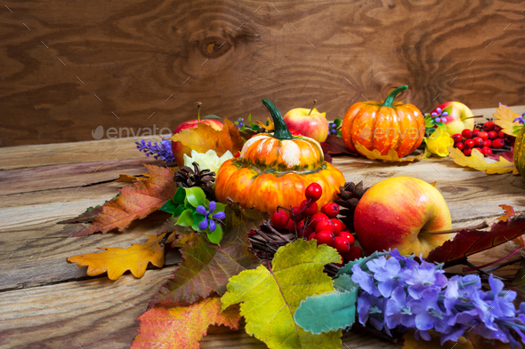 Thanksgiving background with leaves, ripe orange pumpkins, lilac - Stock Photo - Images