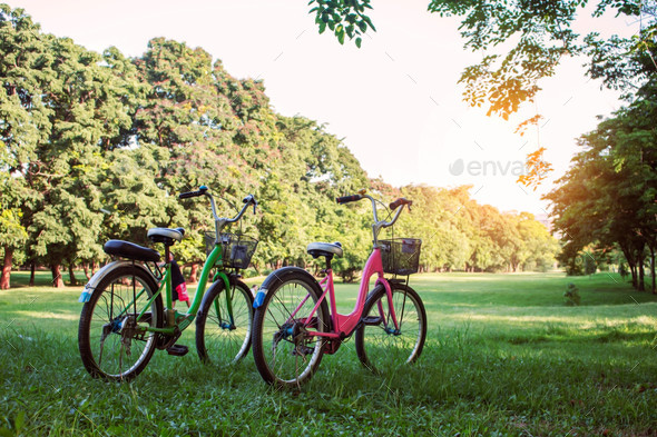 Bicycle on lawn in the park
