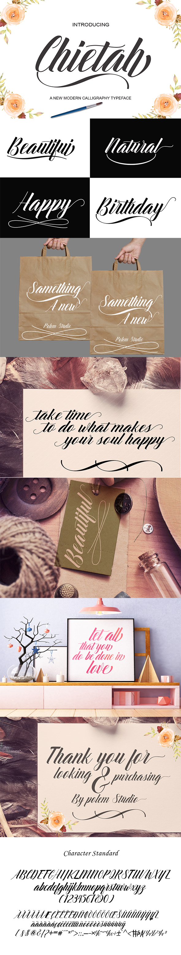 GraphicRiver Chietah 20953225 GraphicRiver Chietah 20953225