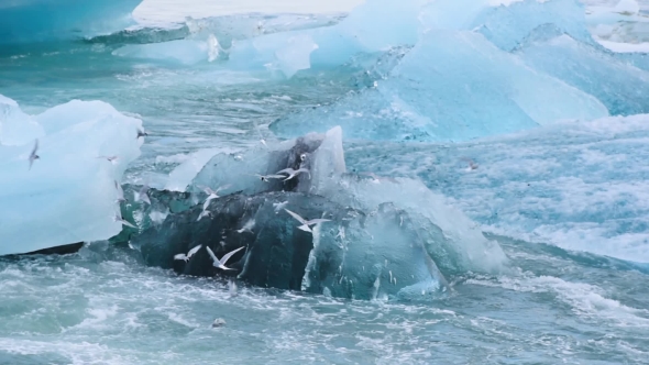 Icebergs in Jokulsarlon Glacial Lagoon