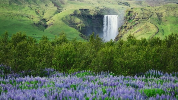 Famous Skogafoss Waterfall