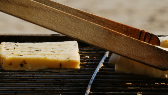 Barbecue - Grilling Vegetarian Food - Tofu and Cheese