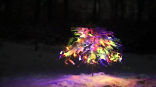 The Decorated Christmas Tree in the Winter Forest