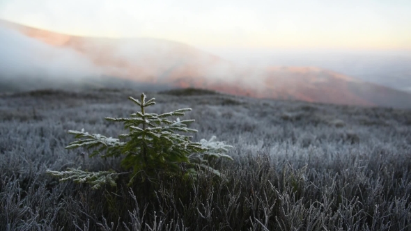 Fantastic Autumn Landscape with Frost