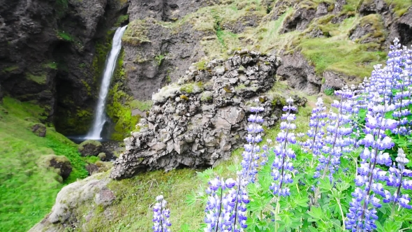 Typical Iceland Landscape with Waterfall