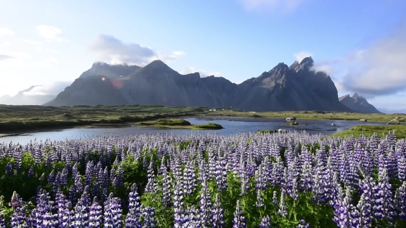 Famous Grass Hills Near Stokksnes