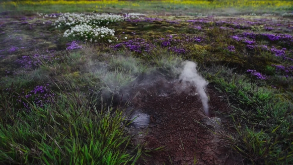 Smoking Fumaroles Near Geysir Geyser