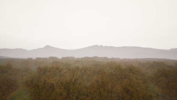 VideoHive Aerial of Autumn Forest and Foggy 20986422 VideoHive Aerial of Autumn Forest and Foggy 20986422