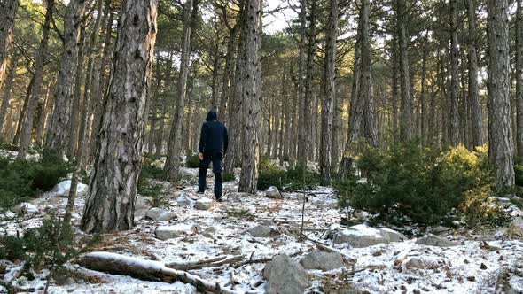 Young Man With Hood Walking On Frozen Ground In Forest