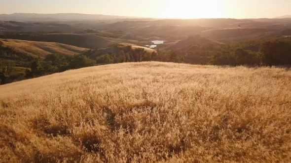 Sunlit Landscape alt