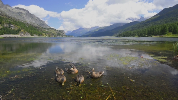 Amazing Sunny Day at Champferersee Lake