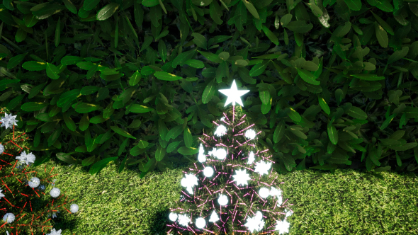 Tree Christmas