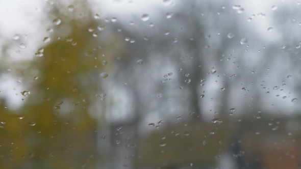 Image of Rain Drops Falling on a Window