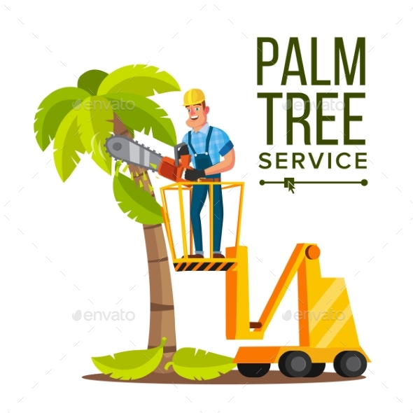 GraphicRiver Palm Tree Care Vector 20993152 GraphicRiver Palm Tree Care Vector 20993152