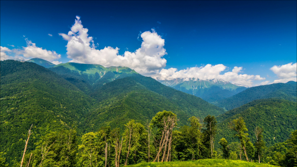 Mountains And Green Trees On Foreground