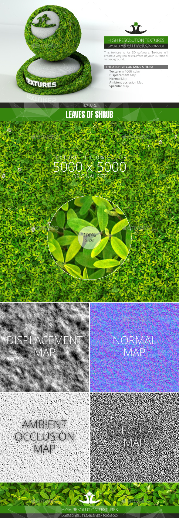 3DOcean Leaves of Shrub 2 21001371 3DOcean Leaves of Shrub 2 21001371