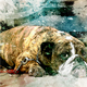 Watercolor Mixed Effect - 13