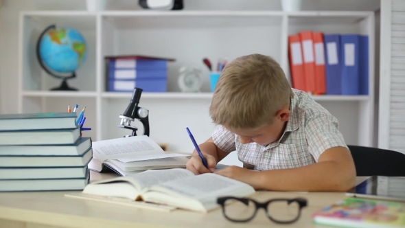 Schoolboy Sitting at Desk and Writing in Notebook alt