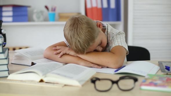 Boy Is Sleeping at the Desk on Textbooks and Notebooks alt