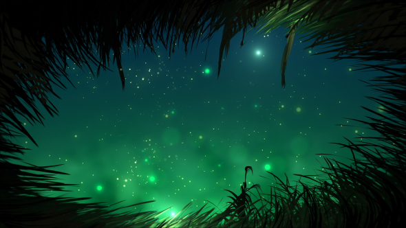 Grass At Night With Fireflies Loop
