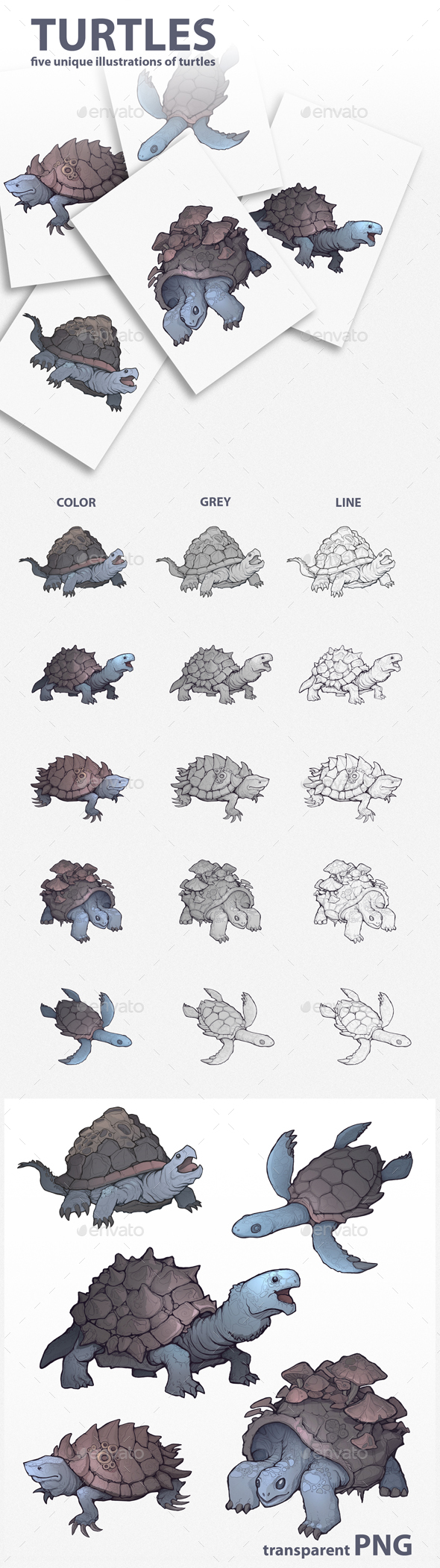 Turtles Illustrations - Animals Illustrations