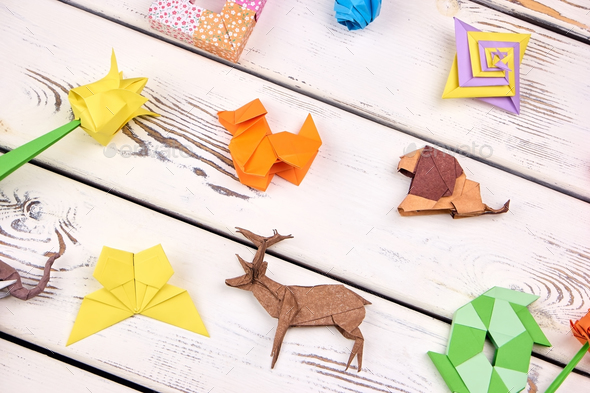 Set of origami projects