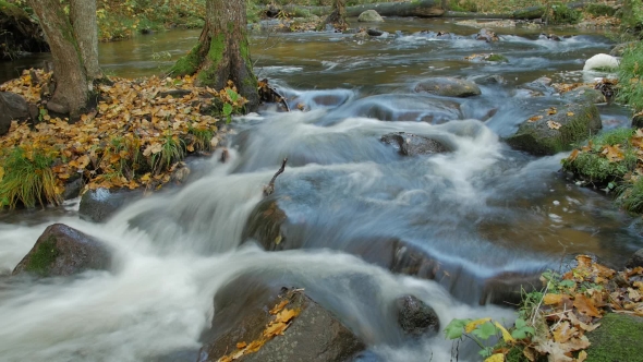 Autumn River Flow with Beautiful Scenery