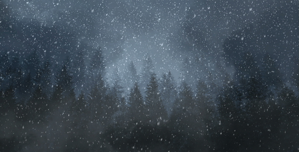 Winter Night Backgrounds alt