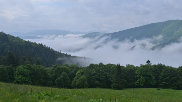 Beauty Fog in Carpathian Mountaine