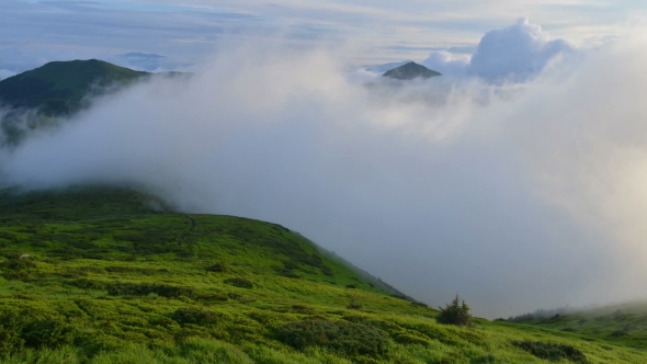 Beauty Fog in Carpathian Mountaine