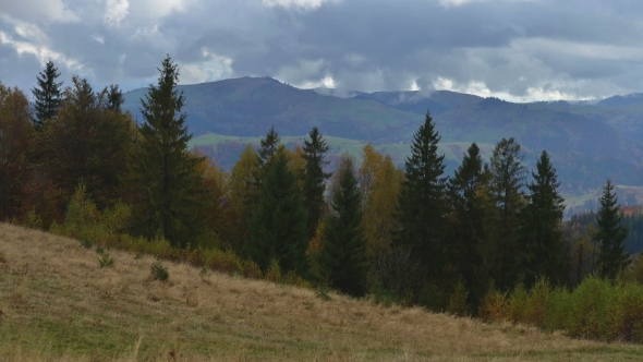 Beauty Fog in Carpathian Mountaine