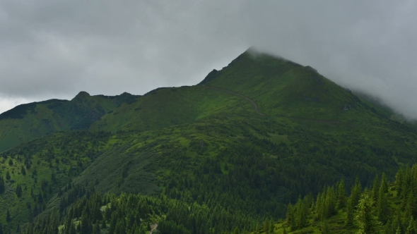 Beauty Fog in Carpathian Mountaine