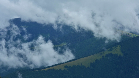 Beauty Fog in Carpathian Mountaine