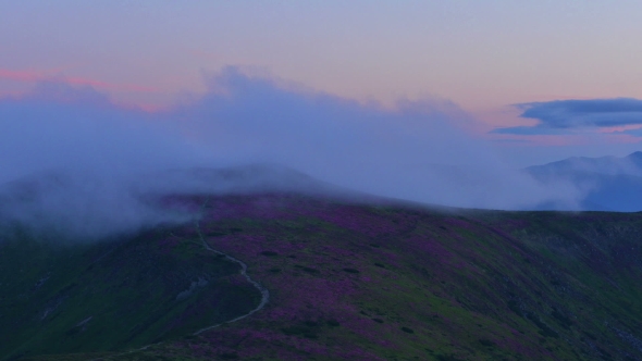 Beauty Fog in Carpathian Mountaine