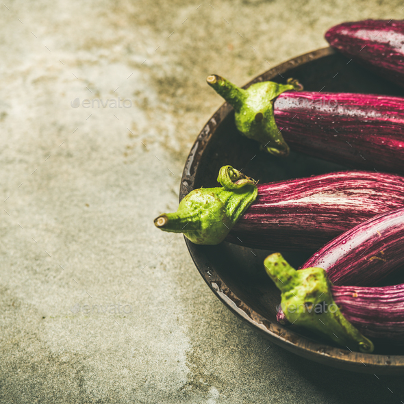 Fresh raw Fall harvest purple eggplants, copy space - Stock Photo - Images