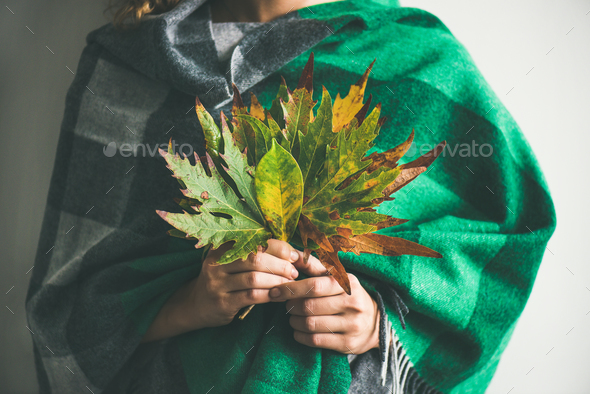 Woman in warm scarf holding Autumn leaves - Stock Photo - Images
