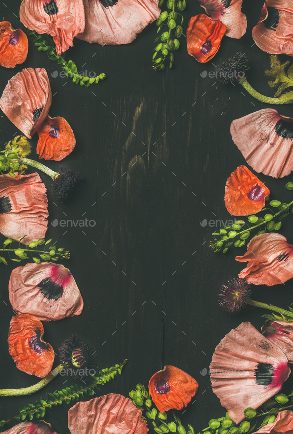 Pink and red flower petals, branches and leaves, copy space - Stock Photo - Images