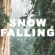 Real Snow Falling - VideoHive Item for Sale