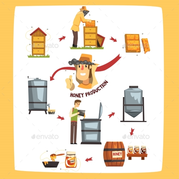 Honey Production Process Stages Beekeepers - Food Objects