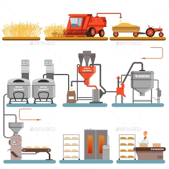 Bread Production Process Stages From Wheat Harvest - Industries Business