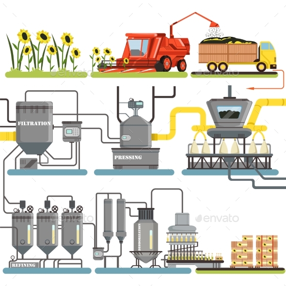 Sunflower Oil Production Process Stages - Industries Business