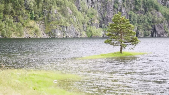 Small Island with Alone Tree