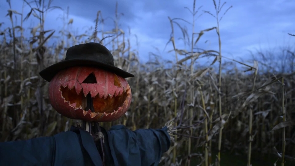 Scary Scarecrow in a Hat