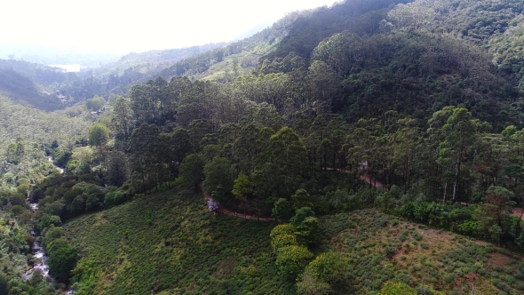 Aerial of Road Near the Forest on Adam Peak in Sri Lanka