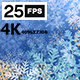 Christmas BG 4K - VideoHive Item for Sale