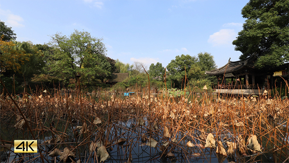 Chinese Garden (2-Pack) alt