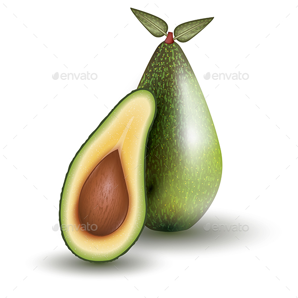 GraphicRiver Avocado Isolated on White Background Vector Illustration 21035132 GraphicRiver Avocado Isolated on White Background Vector Illustration 21035132