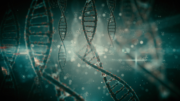 Pack Backgrounds Futuristic DNA Strands Looped HD